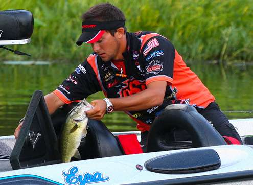 Birge places the fish in the livewell. 