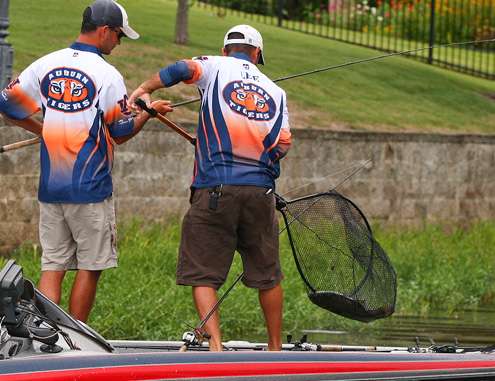 The brothers work together to boat a quality fish.