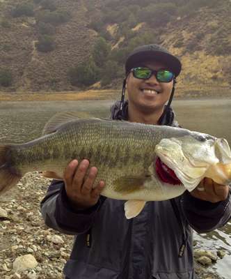 <p> </p>
<p><strong>Eddie B Cabrera Jr</strong>.</p>
<p>10 pounds, 5 ounces</p>
<p>Lake Coyote, Calif.</p>
<p>1/2 oz. Booyah Buzzbait (white)</p>
