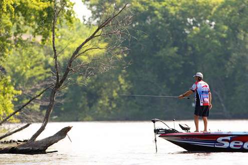 <p>Paul Elias makes a cast to a dead willow tree. </p>
