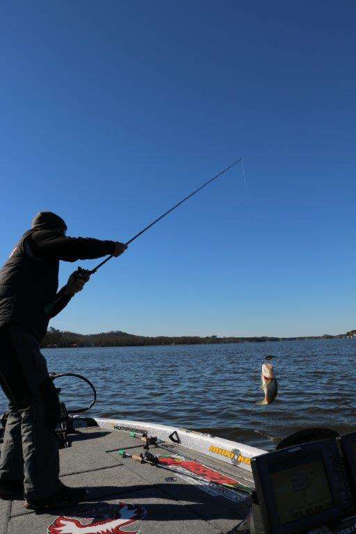 Walden caught it on camera when Chad Morgenthaler ripped this bass out of the water, a view you canât get anywhere except the back of the boat â¦