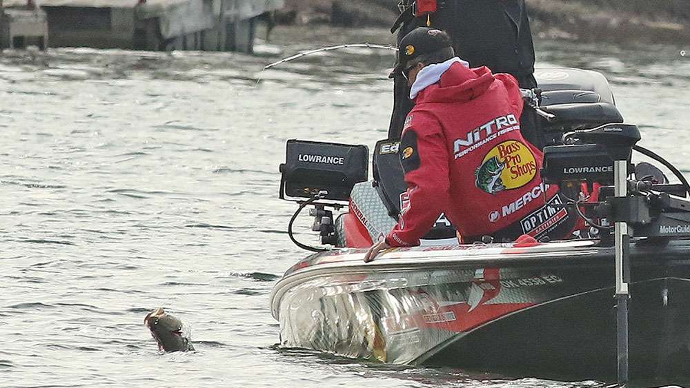 ...but this one's still fighting.