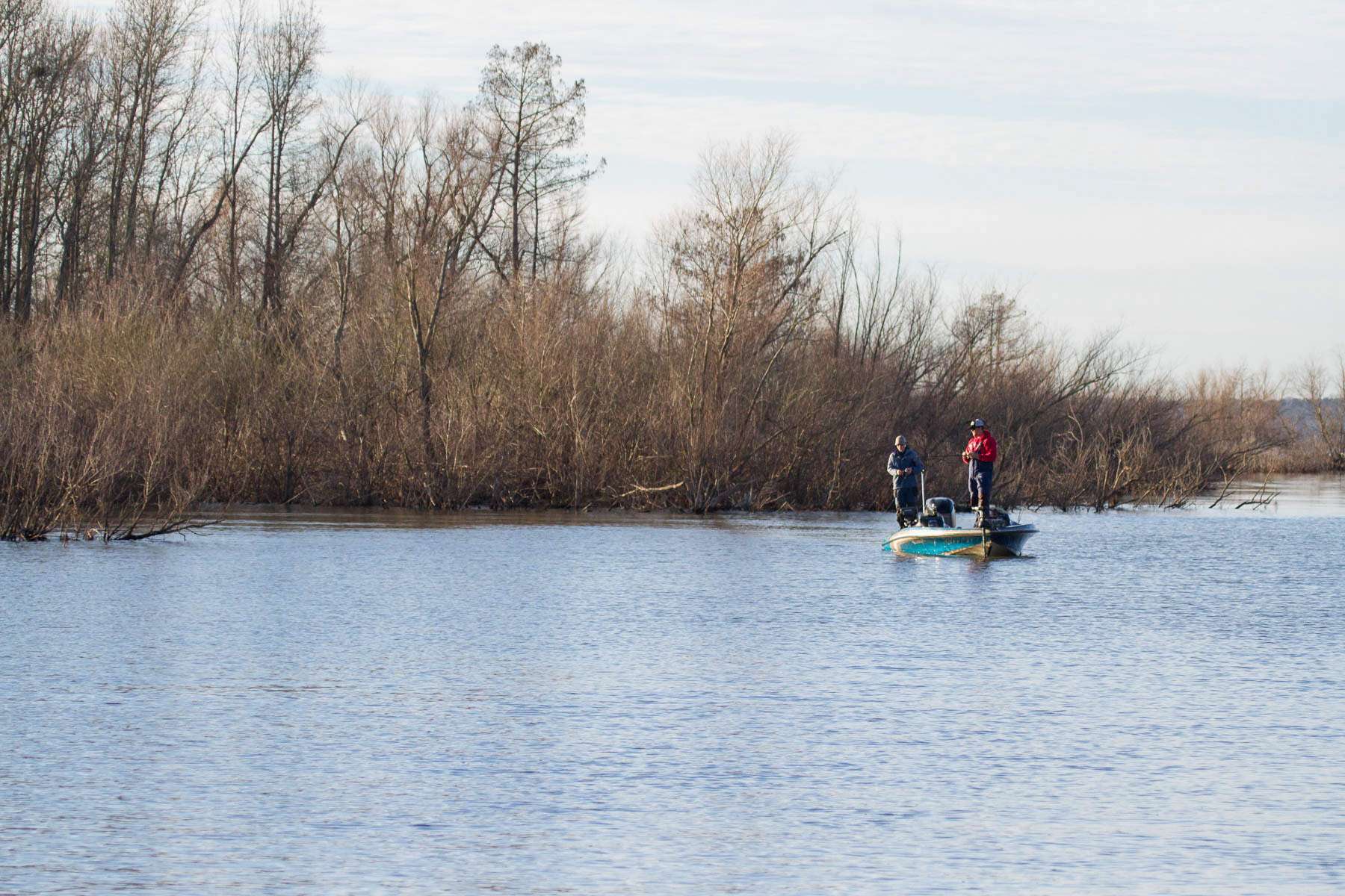  <h4>2. Sam Rayburn Reservoir, Texas </h4>
[114,500 acres] This lake is no longer playing second fiddle to its larger cousin to the east (Toledo Bend). In fact, the fishery has been on fire this year. The Bass Champs circuit stopped at Rayburn twice this spring, and it required a 30-pound sack to win both times. And every one of the Top 50 teams during the March 11 event weighed in five-fish stringers exceeding 20 pounds â with the Top 3 teams breaking the 30-pound mark. The Texas Team Trail weigh-in at the lake in January included six bass topping 7 pounds, with two of those surpassing 10 pounds. And a 31-pound bag earned the top spot during a March Bass Fishing League stop at Rayburn. Most impressively, the May Elite Series event here was won by Brandon Palaniuk with 93-12, who weighed in more than 23 pounds per day. As for quantity of bass swimming here, consider that of the 281 possible limits, 280 were weighed in! The one angler that didnât fill his limit one day of the derby had four fish.

