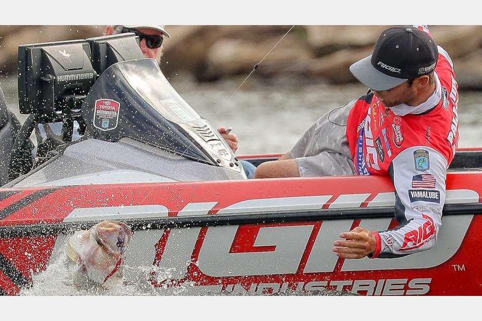 Palaniuk works to bring in a big one last year on Rayburn. De Jesus said Travis âhas a history of producing big fish, and itâs home to many local tournaments.â He said in the past several years winners of spring one-day tournaments have needed 27 or so to win. While the lake record bass, caught in 1993, weighed 14.2 pounds, big bass in most events have been around 8 pounds.