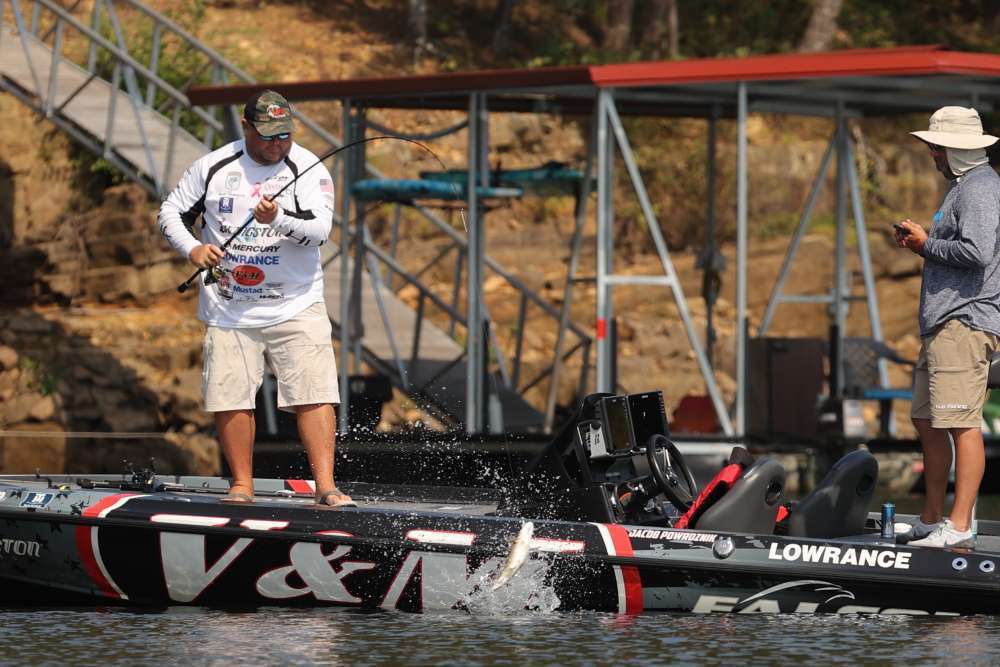 Jacob Powroznik scored the win by fishing over standing timber, where the bass were using the trees as ambush cover for feeding upon blueback herring. Trees in 100 feet of water, with a strike zone only 20 feet below the surface, was a key area. 
