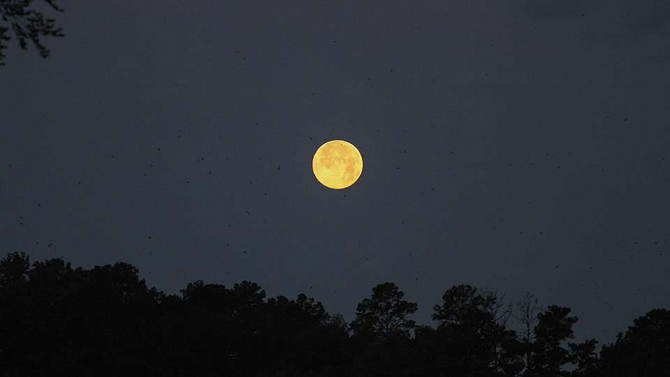 The moon shined bright this morning.